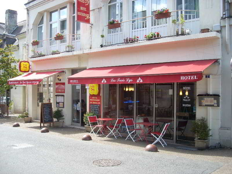 Hotel Les Trois Lys main