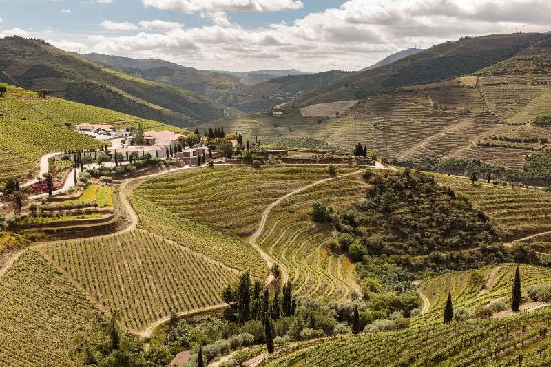 Quinta Nova - Luxury Winery House main