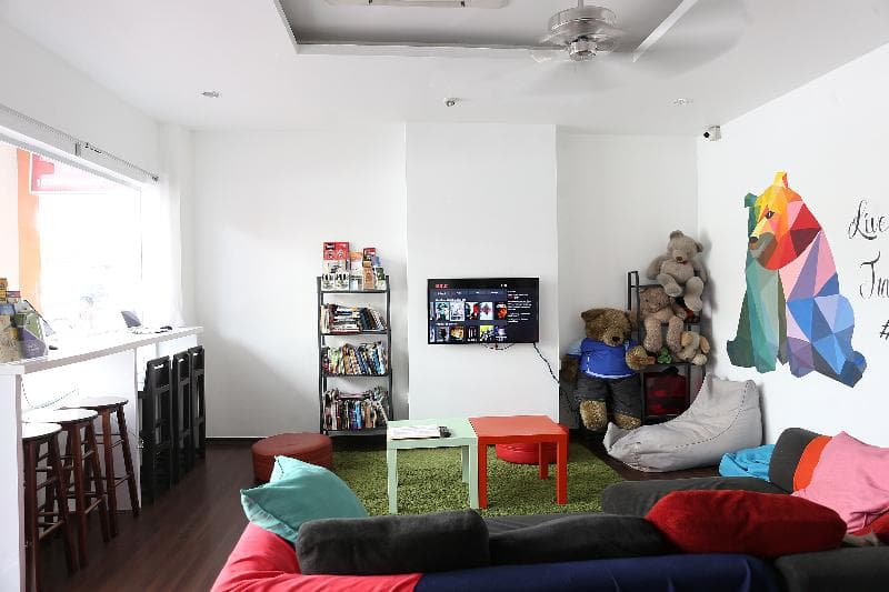 Beary Best! Hostel 5