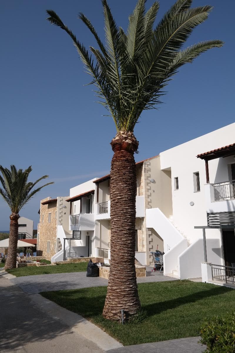 Ledra Maleme Hotel 4