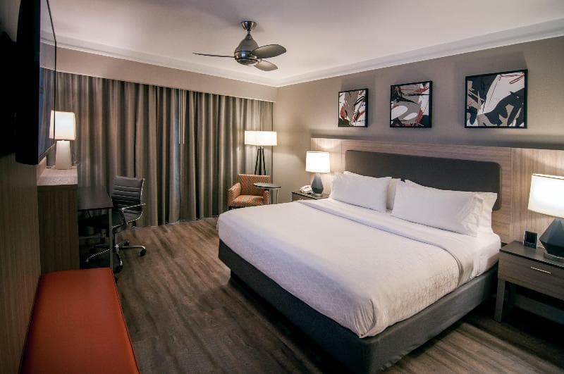 Holiday Inn Baton Rouge College Drive I-10 4