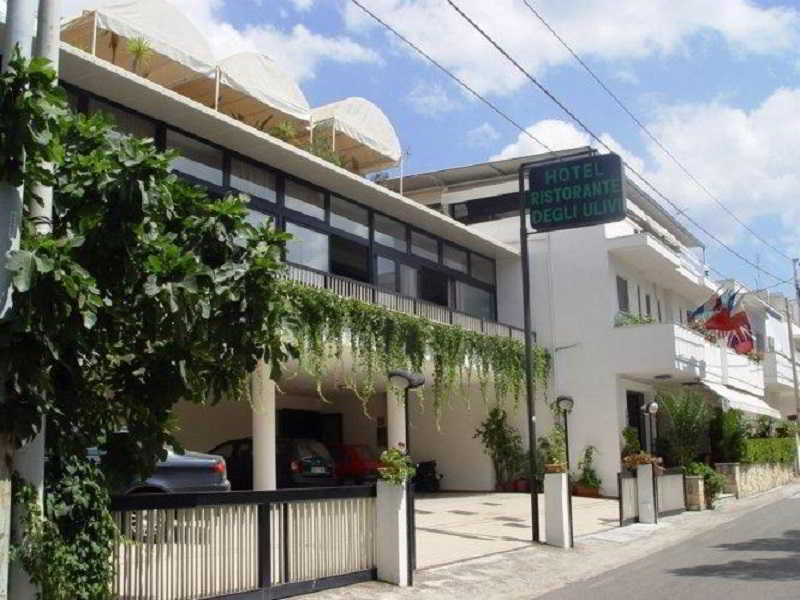 Hotel Degli Ulivi 4