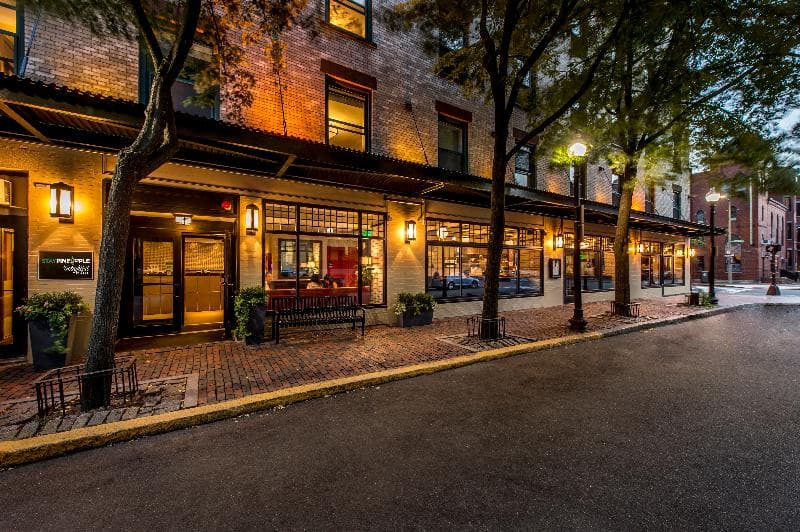 Staypineapple, A Delightful Hotel, South End 2