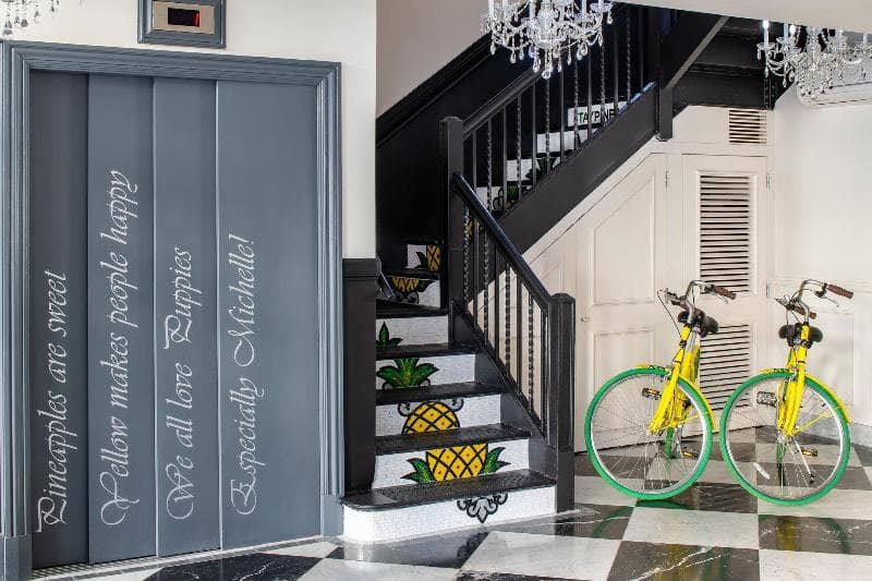 Staypineapple, A Delightful Hotel, South End 5