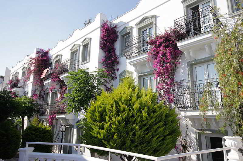 Maison 48 Apartments 3