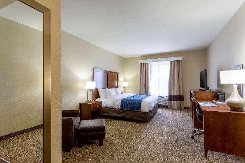 Comfort Inn & Suites Airport Baton Rouge photo 1