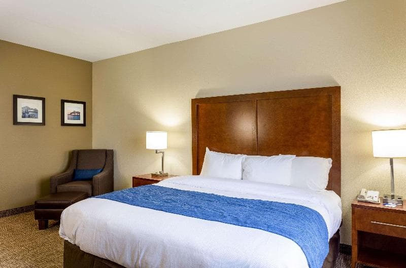 Comfort Inn & Suites Airport Baton Rouge 3