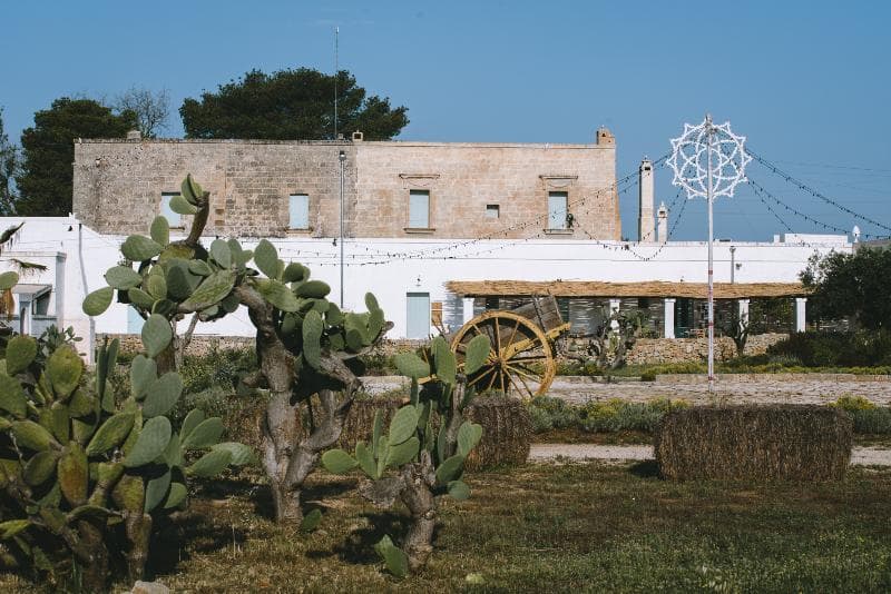 Masseria Palombara Resort & Spa (Adults Only) 5