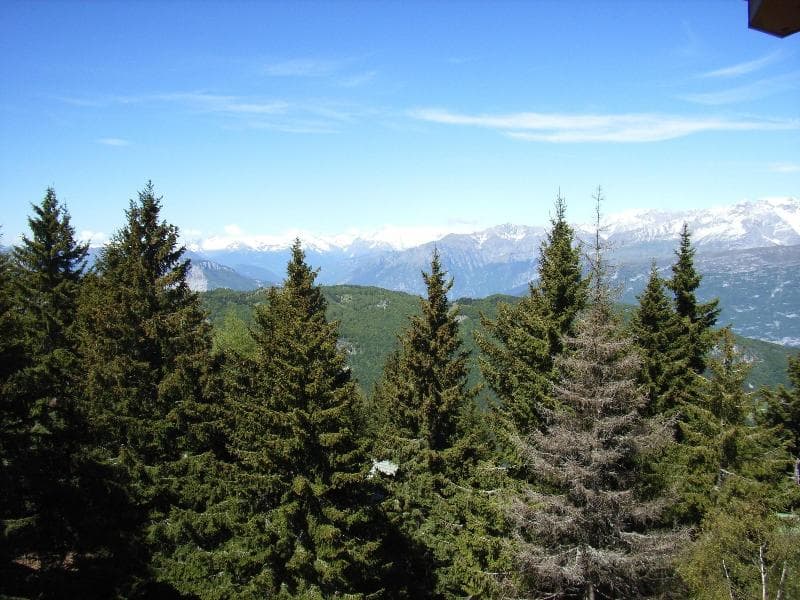 Hotel Alpine Mugon 4