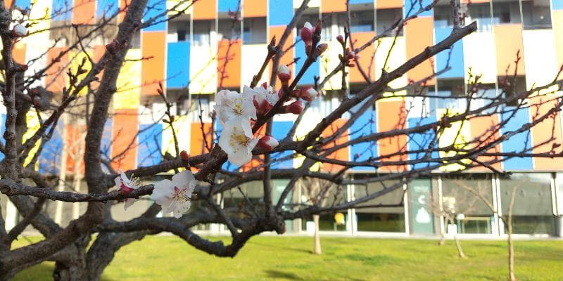 Centre Esplai Hostel 5