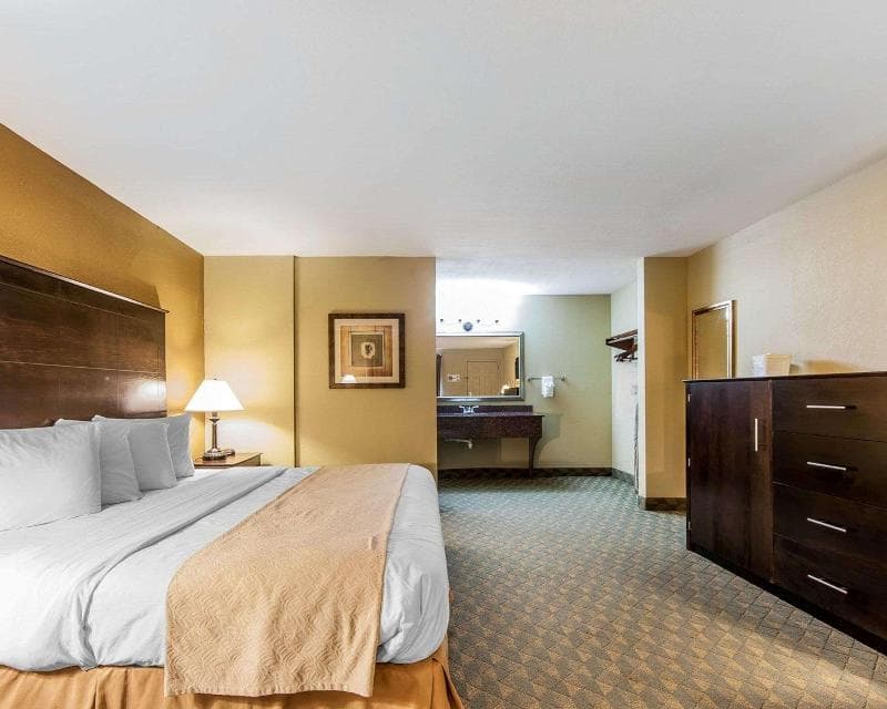 Quality Inn And Suites Bremen 3