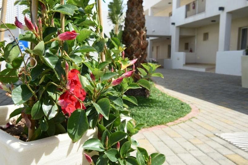 Donnosanto Residence photo 1