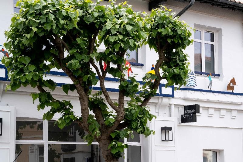 Urban Style Biarritz – Hôtel Du Relais 3