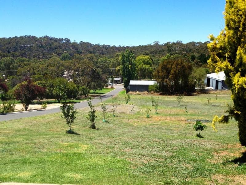 Clare Valley Motel photo 1