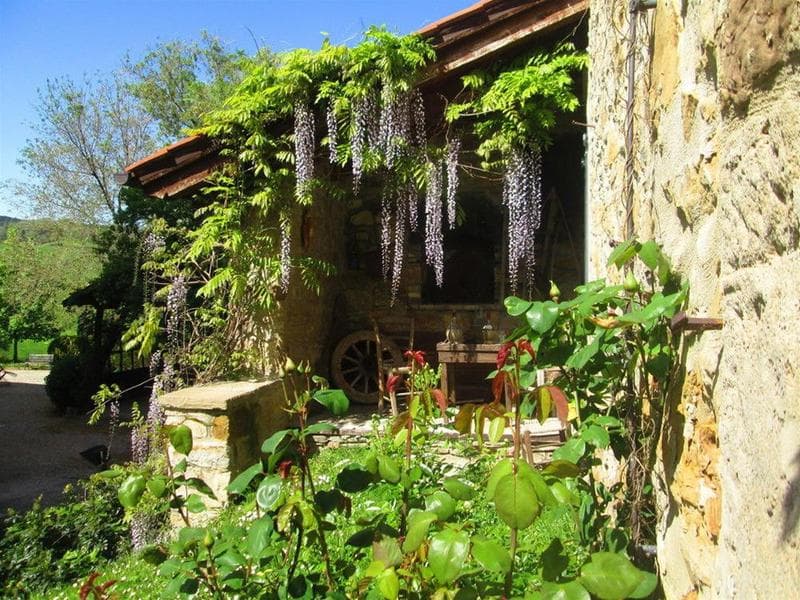 Palazzo Loup 4