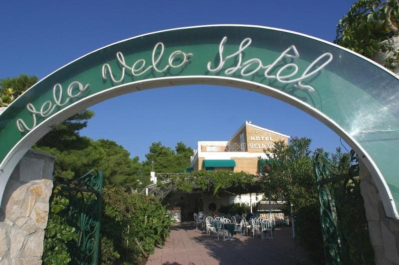 Vela Velo 5