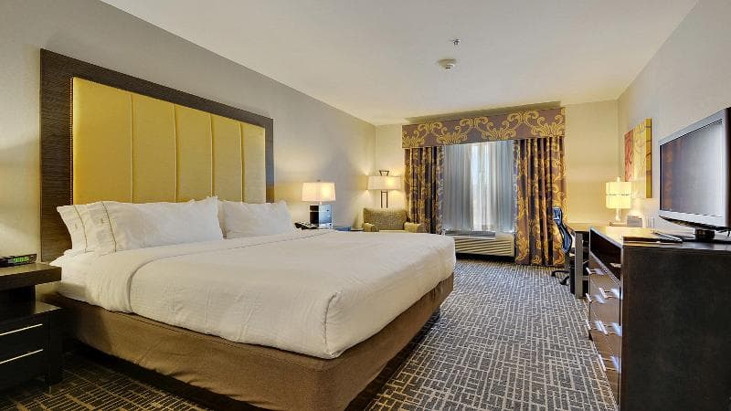 Holiday Inn Express & Suites Gonzales 5