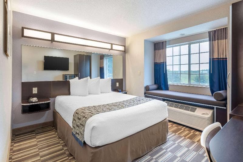 Microtel Inn & Suites by Wyndham Brooksville 4