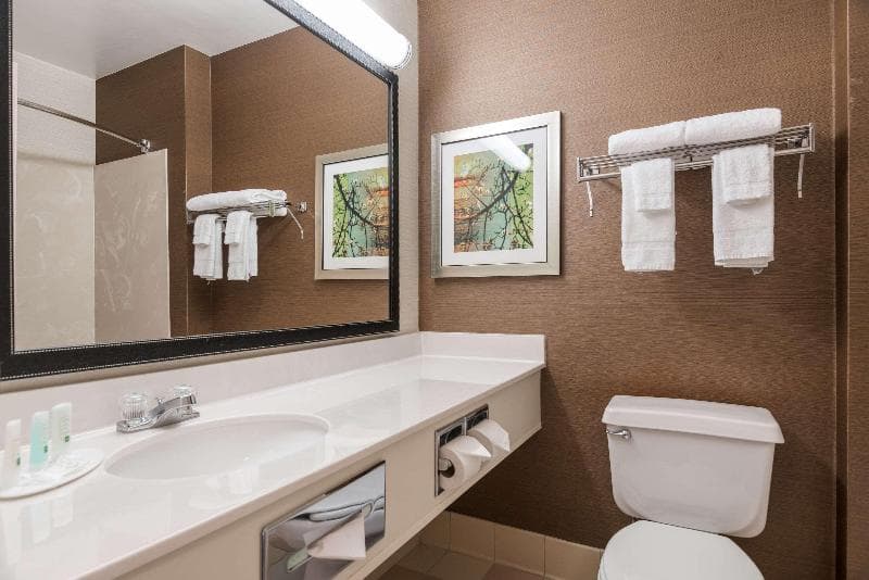 Quality Inn & Suites photo 1