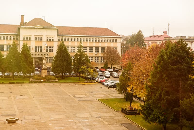 Rivulus Baia Mare photo 1