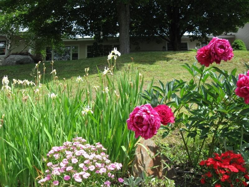 Deerhill Inn 5