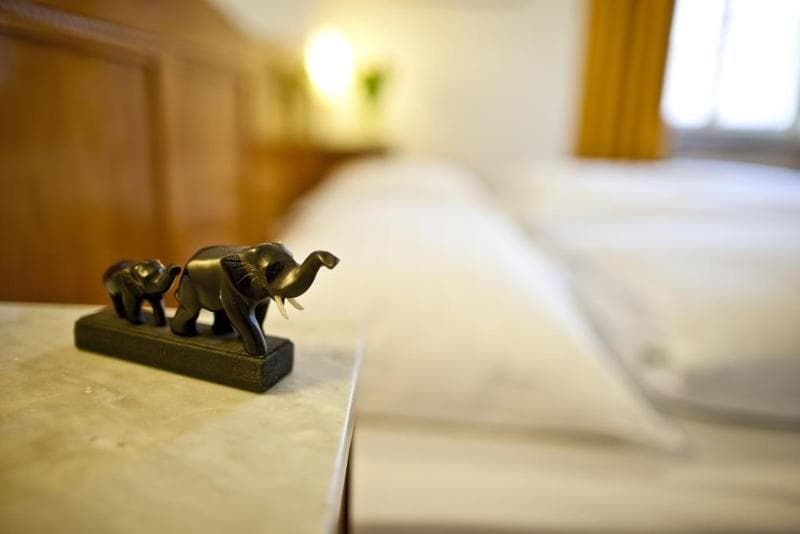 Hotel Elefant 4