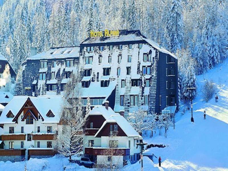 Hotel Alpina 2