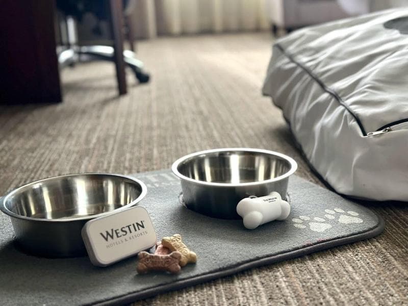 The Westin Birmingham 3