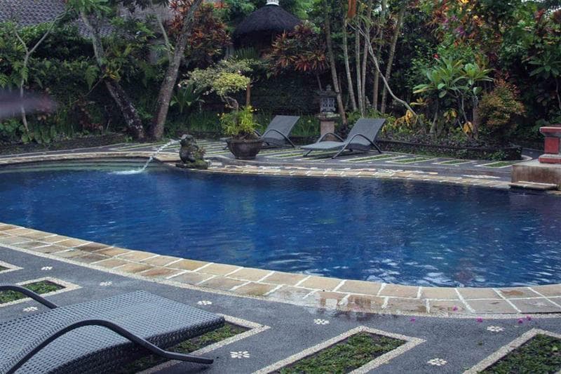 Garden View 4
