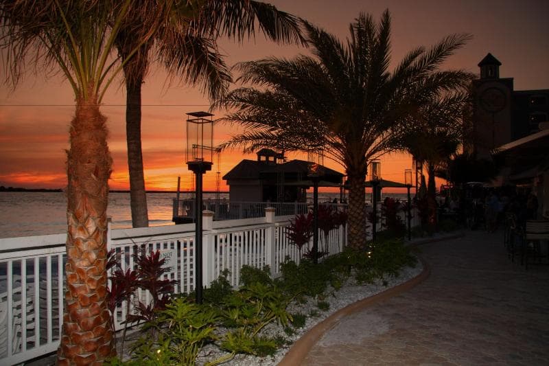 Shephard's Beach Resort 3