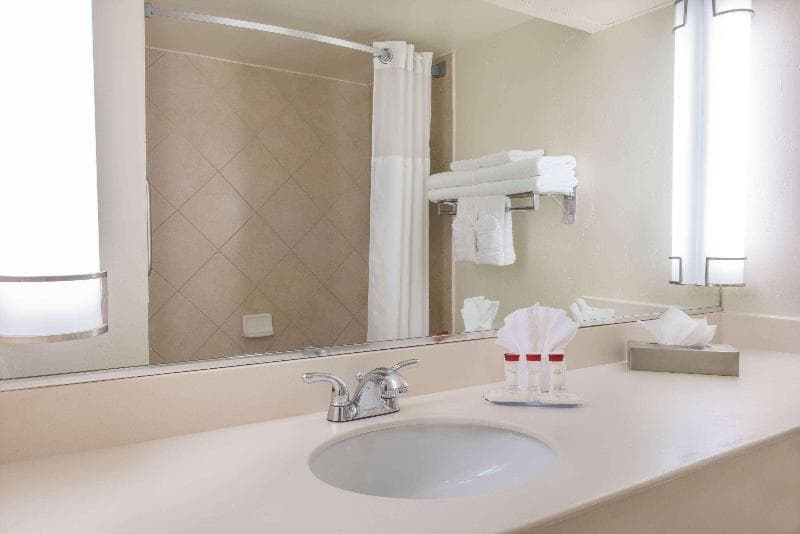 Ramada by Wyndham Las Cruces Hotel & Conference Center 5