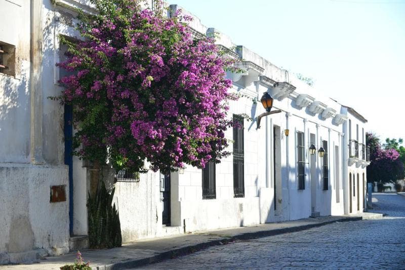 Posada Don Antonio (Adults Only) 3
