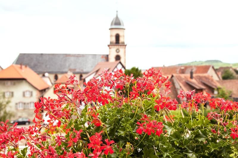 Hotel Val-Vignes Colmar-Haut Koenigsbourg 5