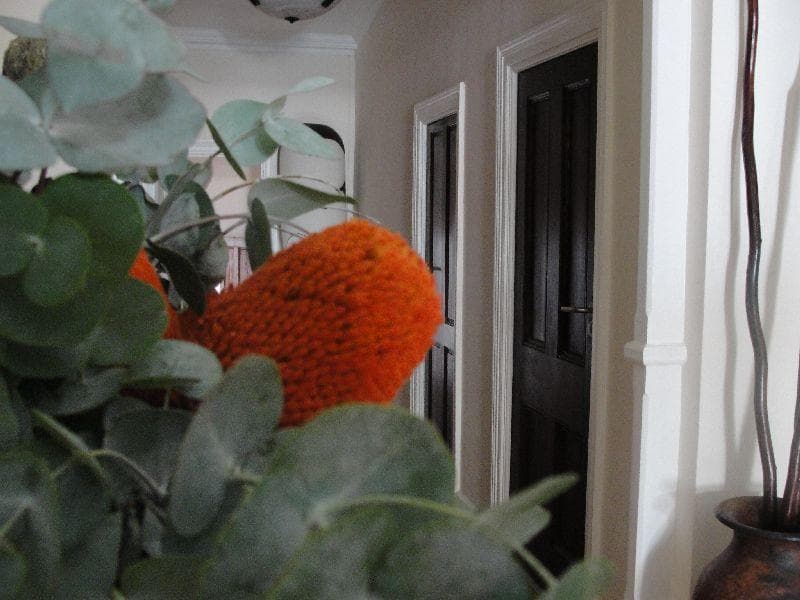 Mountview Spa And Guest House photo 1