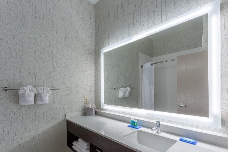 Holiday Inn Express Columbus - Ohio Expo Center by IHG 4