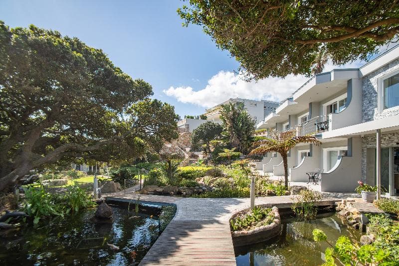 Ocean View Guesthouse 5