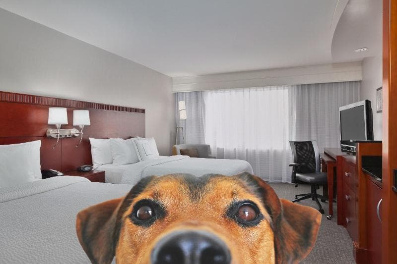Courtyard By Marriott Corpus Christi 5