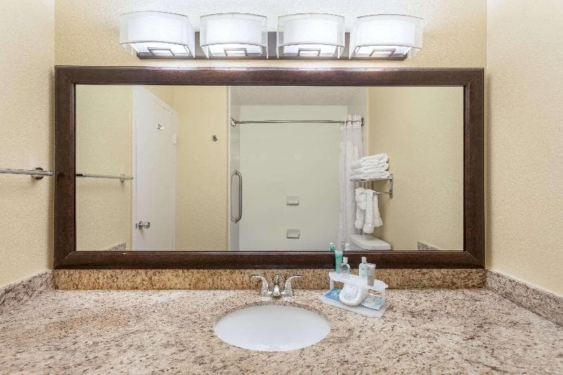 Wyndham Garden Summerville 4