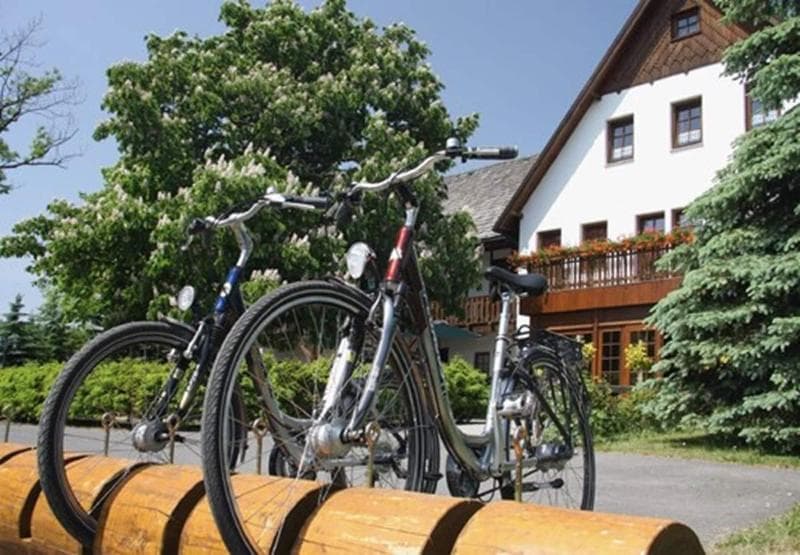 Waldhotel Kreuztanne 2