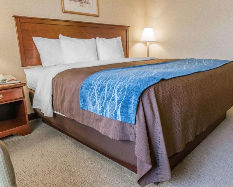 Comfort Inn Mercer photo 1