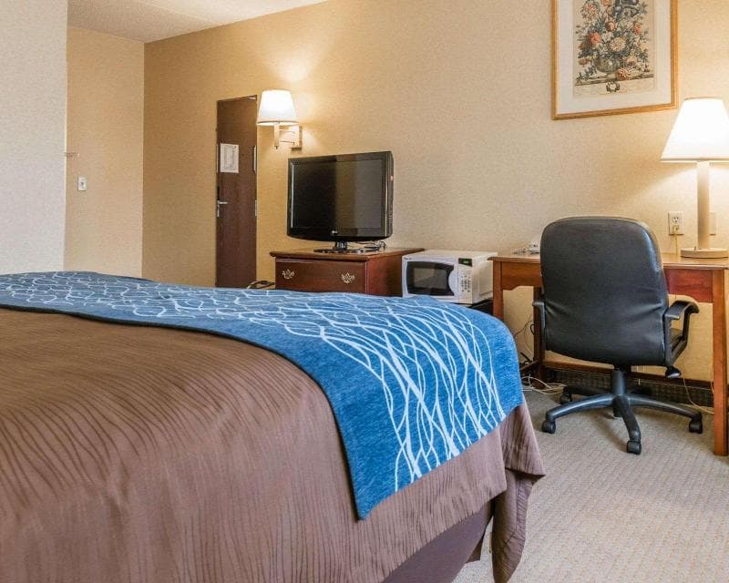Comfort Inn Mercer 3