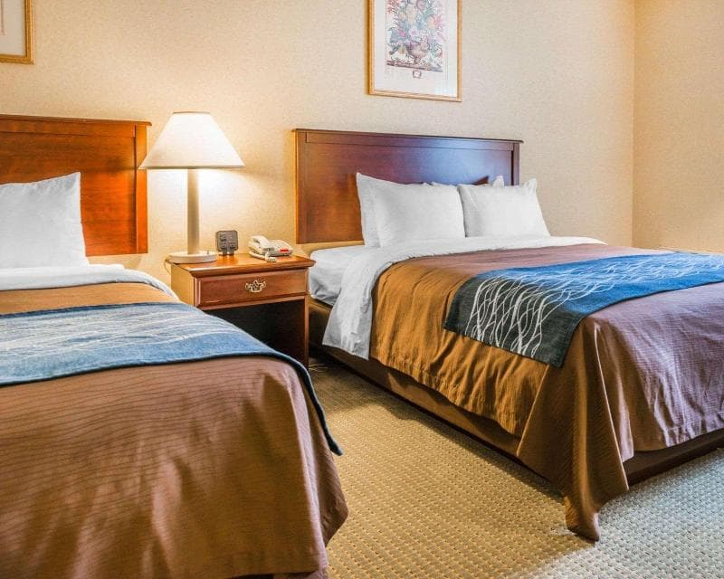 Comfort Inn Mercer 5