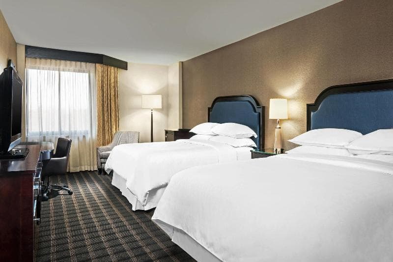 Sheraton Charlotte Airport Hotel photo 1