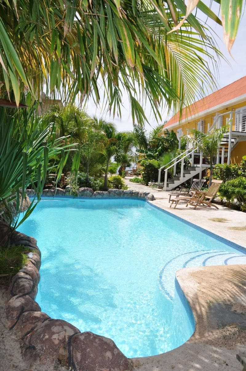 Scuba Lodge & Ocean Suites - Adults Only 3