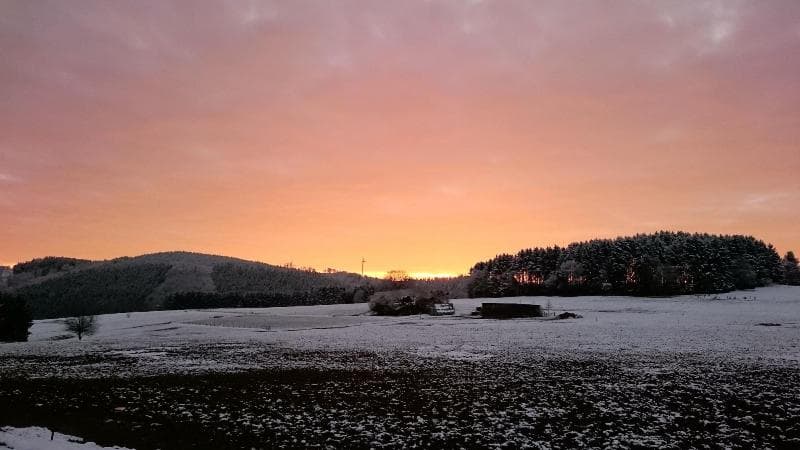 Lindenhof photo 1