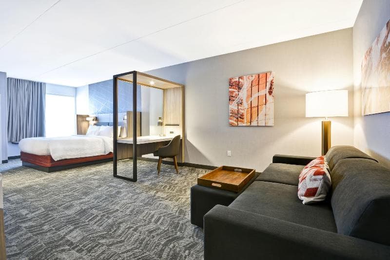 Springhill Suites Cincinnati Blue Ash 4