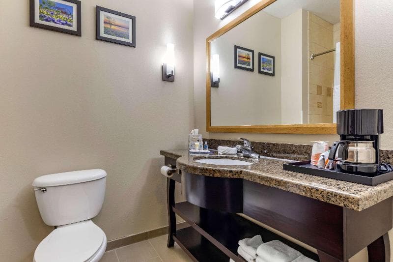 Comfort Inn & Suites Near Lake Lewisville 5