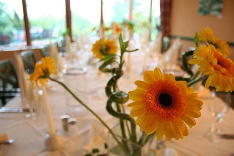 Greenline Landhotel Dresden 3