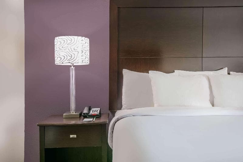 La Quinta Inn & Suites DFW Airport West-Euless 4