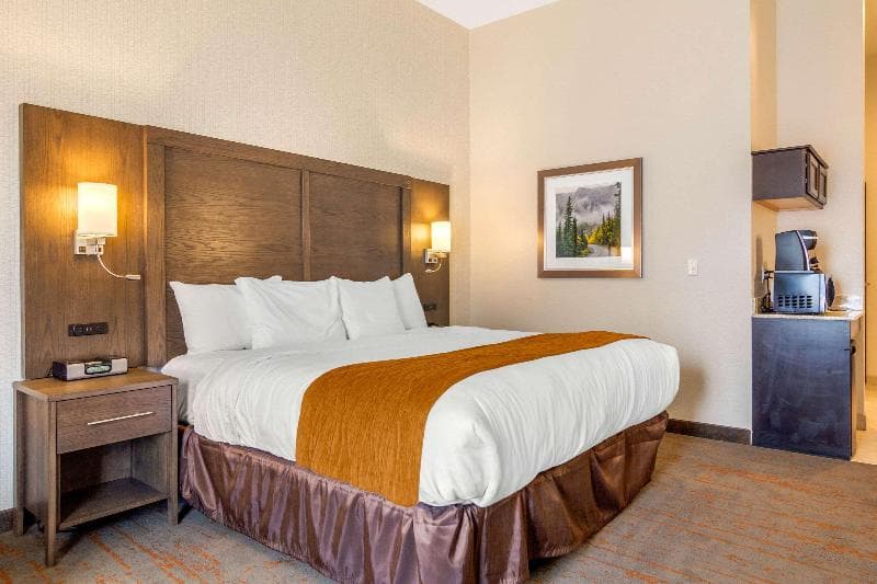 Comfort Inn & Suites Brighton Denver Ne Medical Center 3